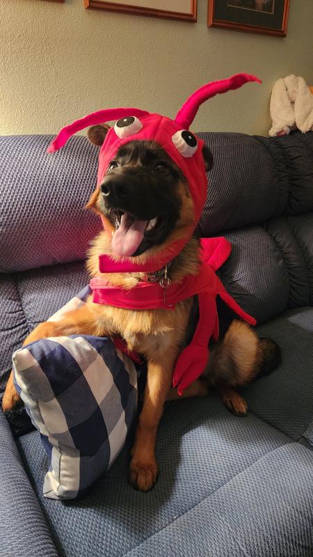 All smiles, not even a little crabby and pinchy XD