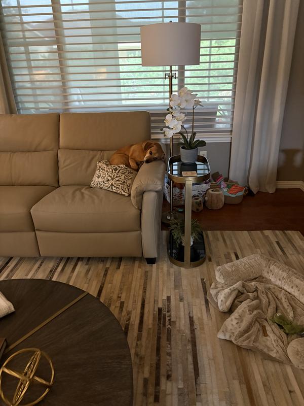 One happy little Buddy