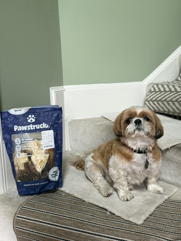 Dexter gives the Natural Chew Bizarre Bargain Bag his paw of approval