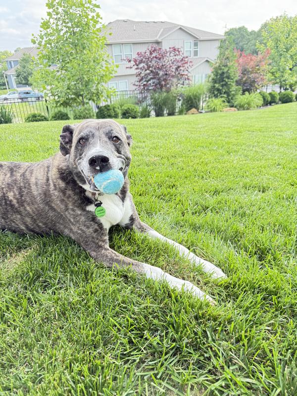 Pleased with his catch