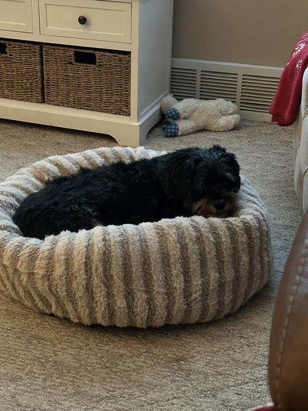 Enjoying the new beds.