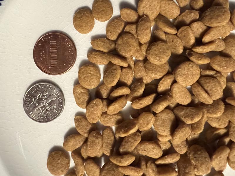 coins to show size