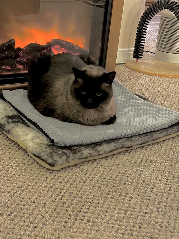 One Happy Cat!