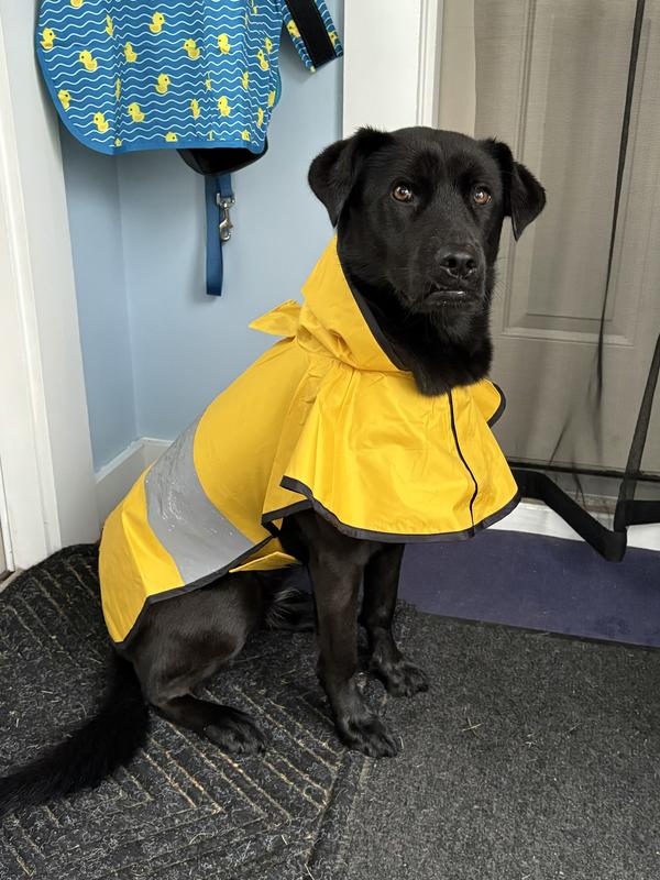 Fits tummy and front with a little room to put harness under