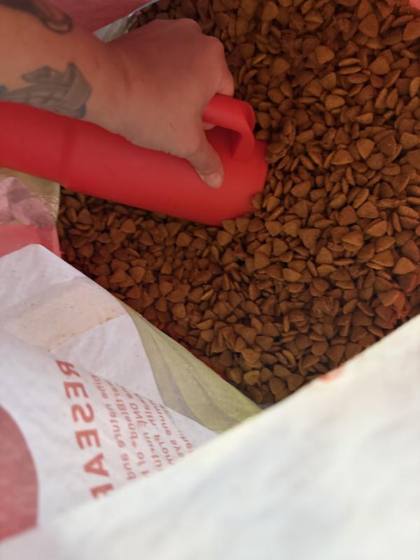 Cup won’t even dig past here , it’s a rock