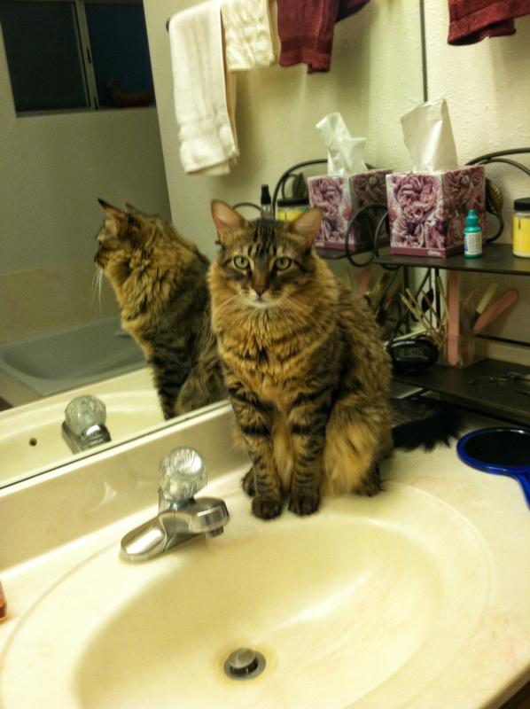 Where’s my drink?