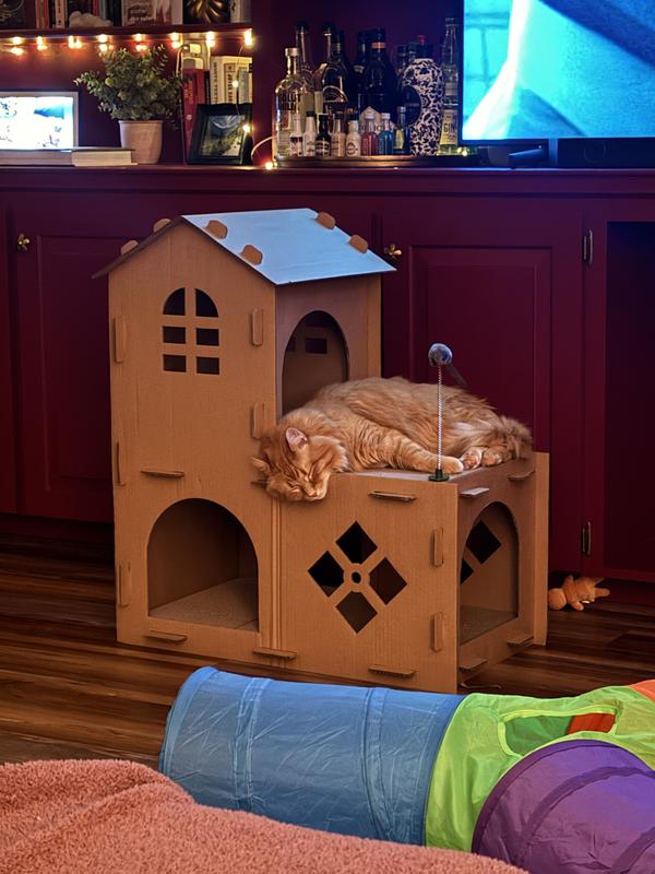 Schmidt the cat sleeping on the balcony of a cardboard house