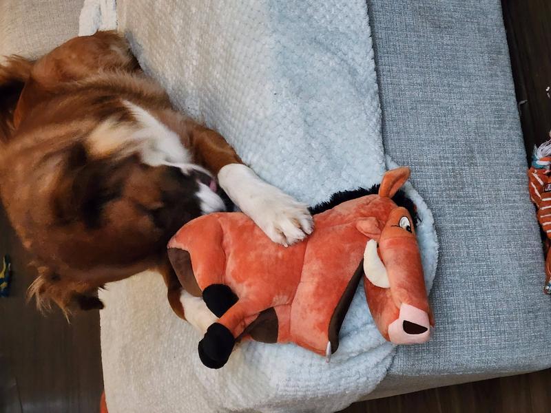 DISNEY Pumbaa Hide & Seek Puzzle Plush Squeaky Dog Toy 