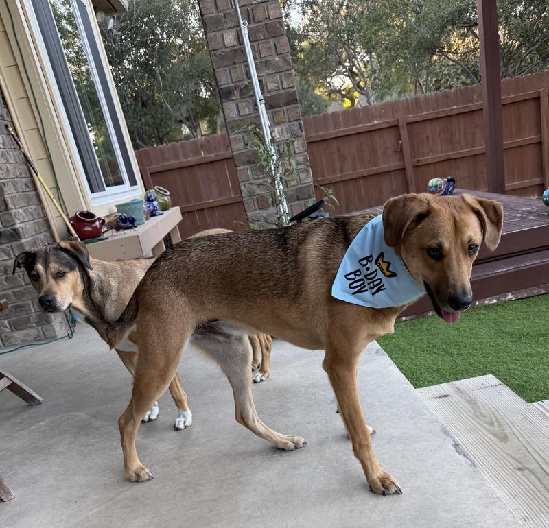 Brady’s first birthday