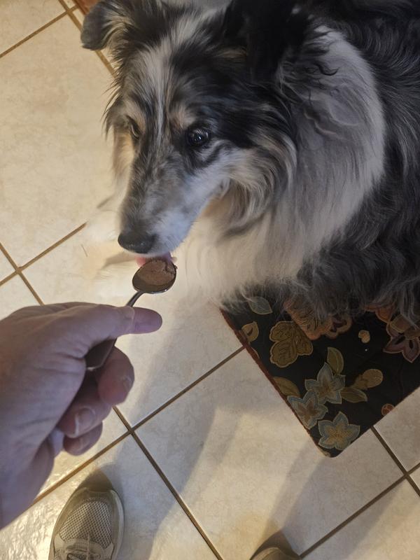 Gibbs (my picky one) liked it!