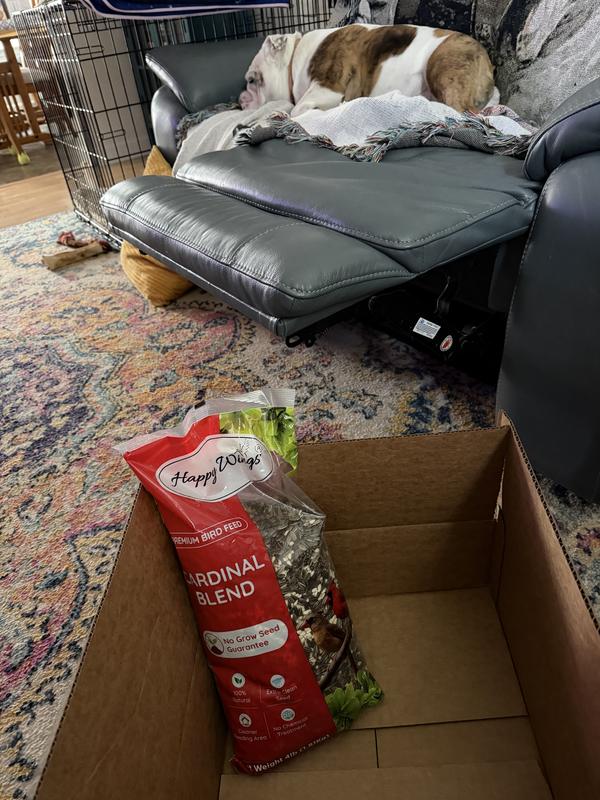 Even the pup was happy!