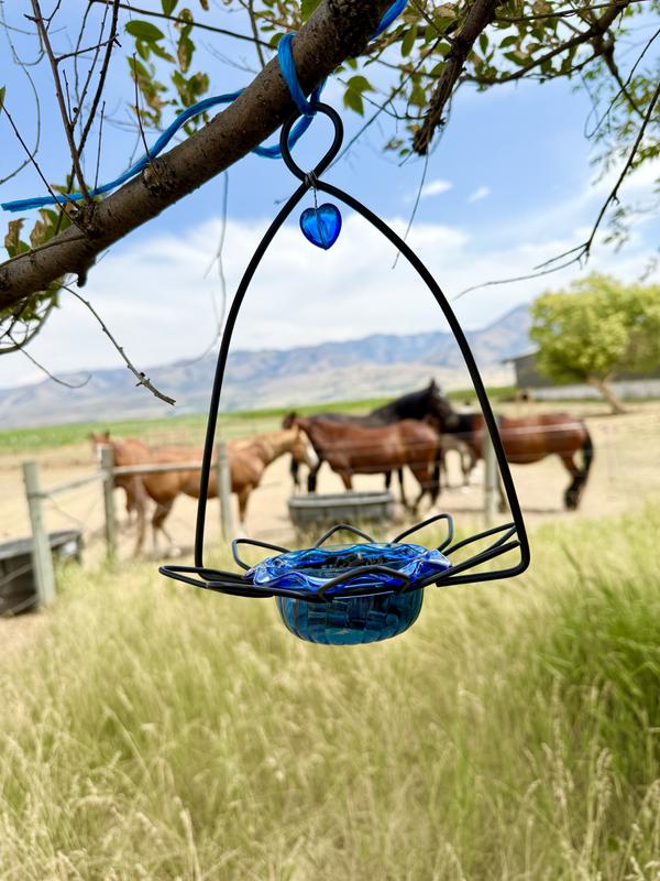 Perfect bird watching spot!