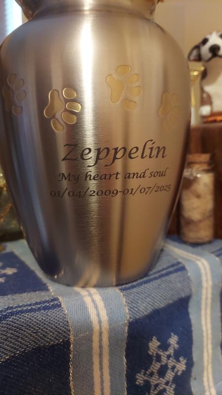 I love the lettering