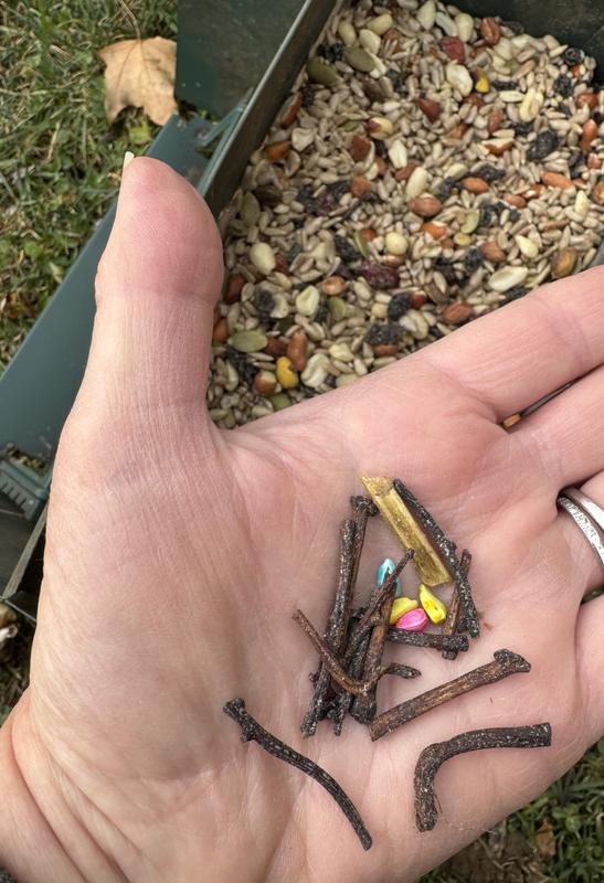 Sticks and colored pieces of ??