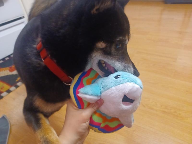 I did my best to get a clear photo. I love that cute smile!