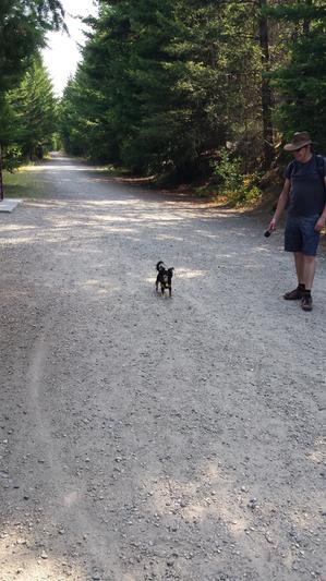 7 mile hike day