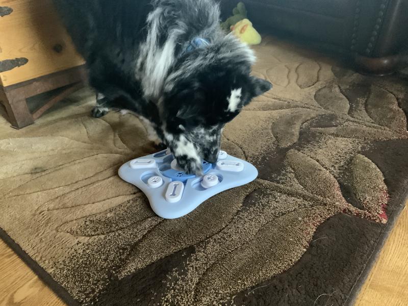 Nose and paws in play!