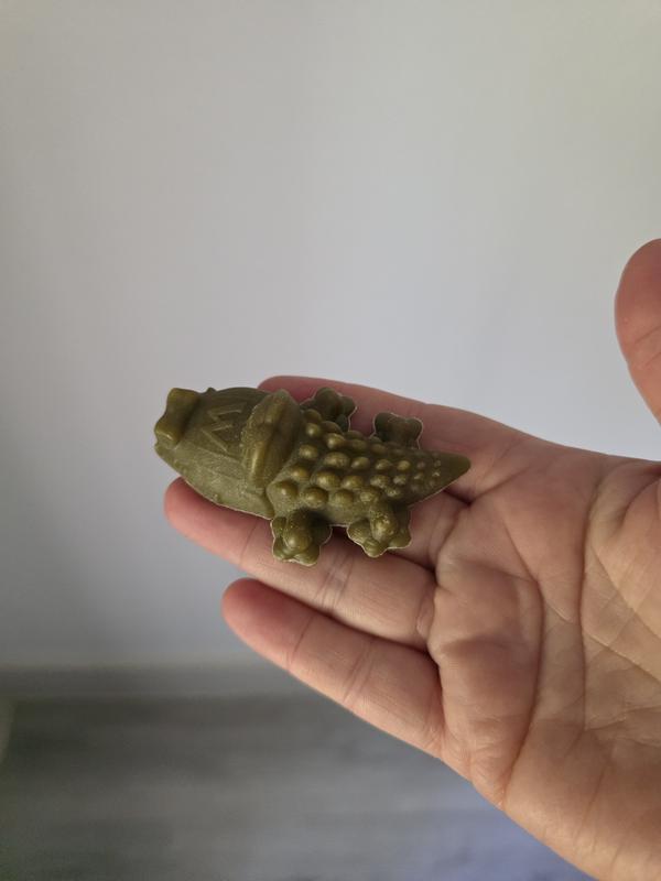 Gator