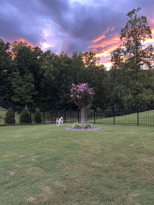 Taylor’s out enjoying the hurricane sky’s.