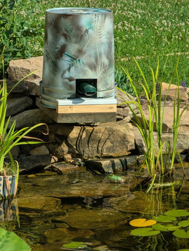 Chubby waiting for the next cycle