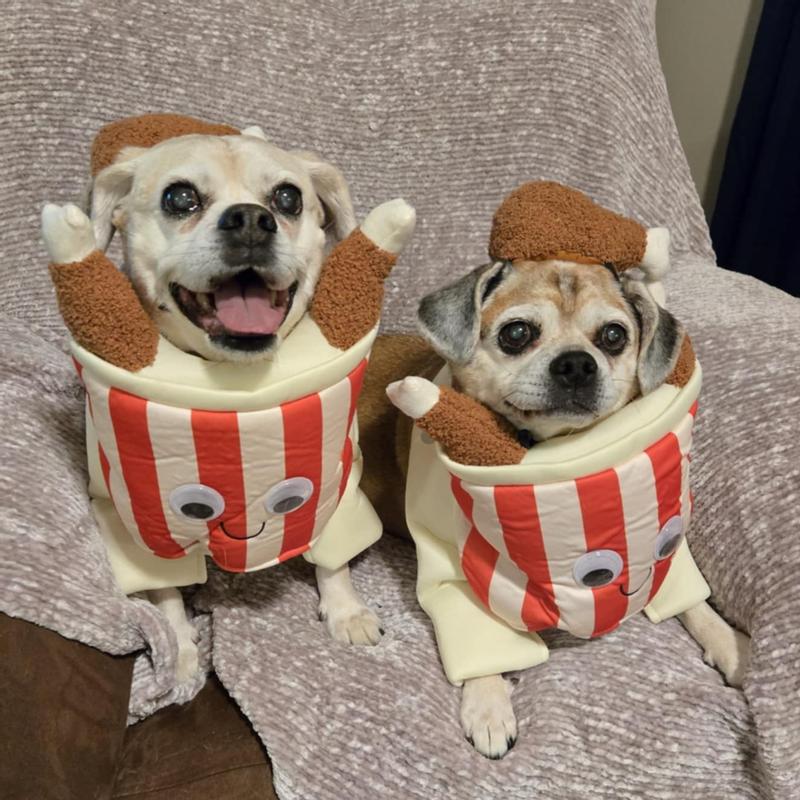 Frisco Front Walking Fried Chicken Bucket with Adjustable Inseam Dog & Cat Costume (Patent Pending)