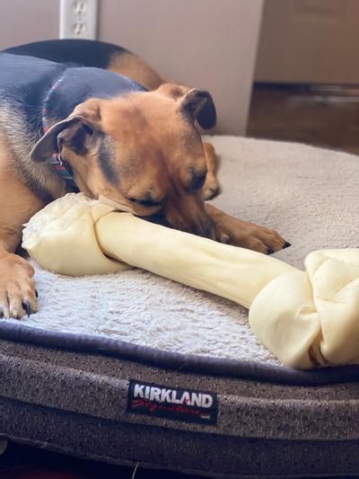 Achilles and his bone