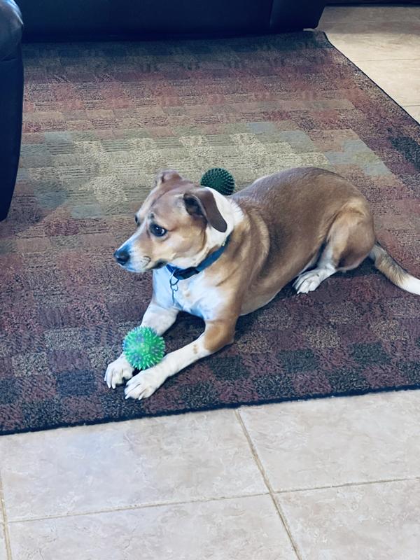 Chillin with the ball