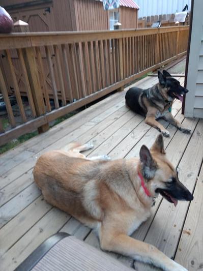 One day after using blade.