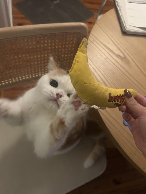 he couldn’t even leave it alone for a darn photo smh