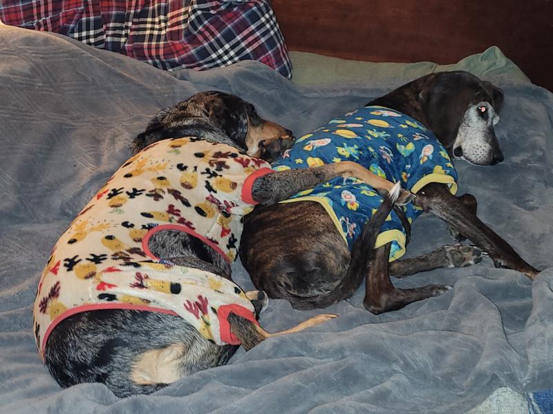 a foster in reindeen and Scout in outer space jammies