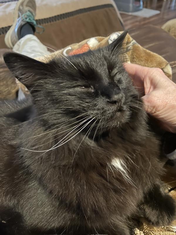 Enjoying my lap