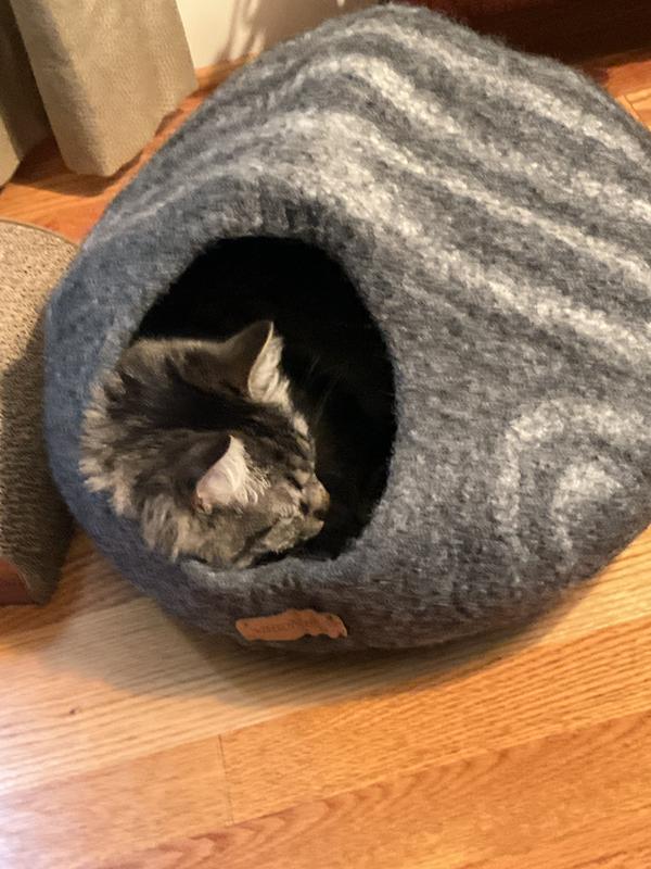MEOWFIA Premium Felt Cave Cat Bed, Medium, Black/Aqua - Chewy.com