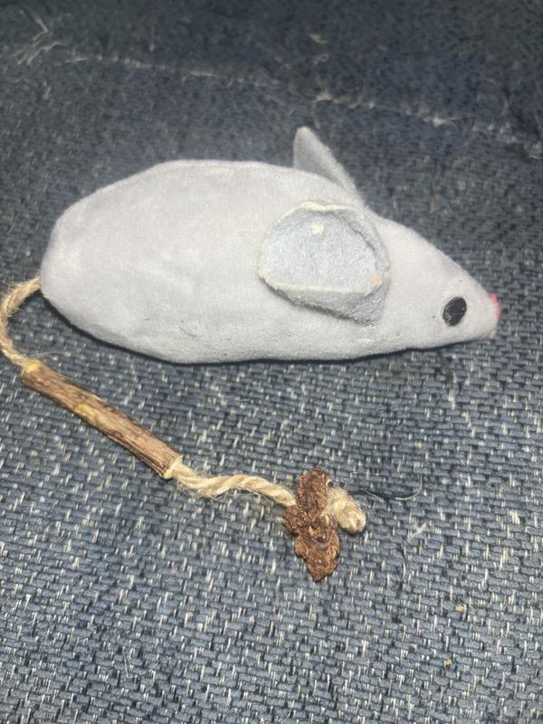 Two of these kinds were included