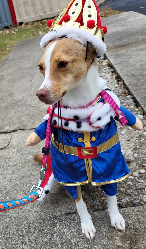 I'm here to rule your heart.
