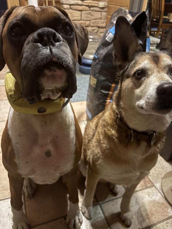 Dripping drool at the smell