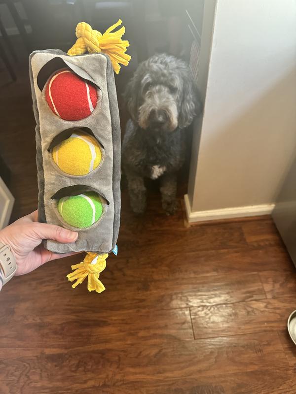 When we first got this toy