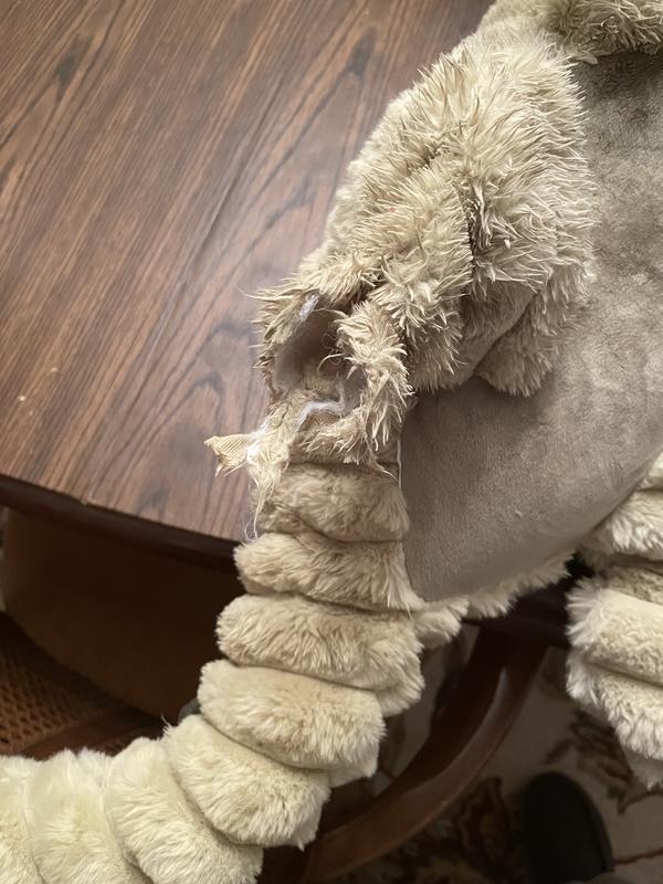 Starts with the claw, leads to a hole, then the stuffing and squeaker.