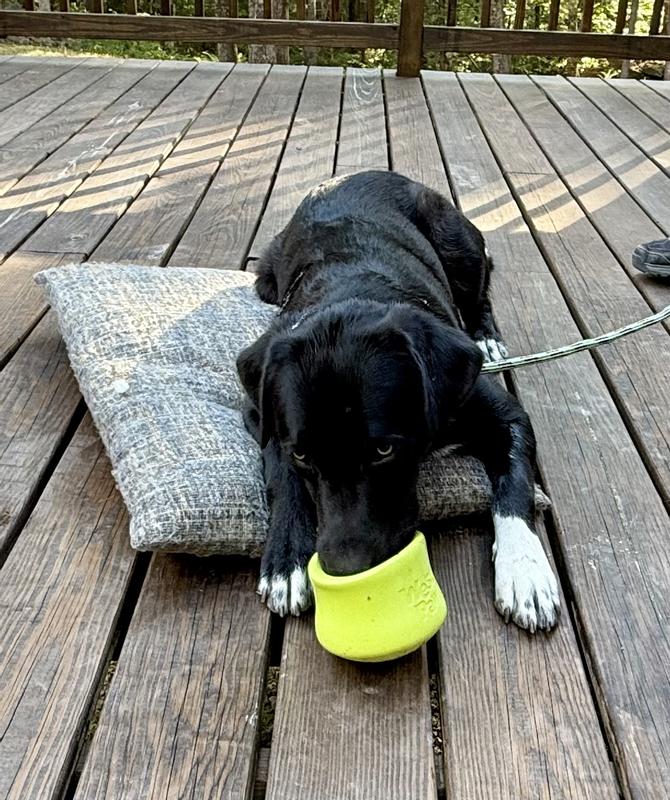 Freya loves her frozen treat!