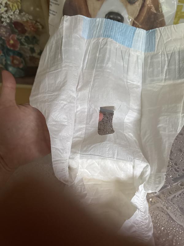 Tail slit is a poop chute