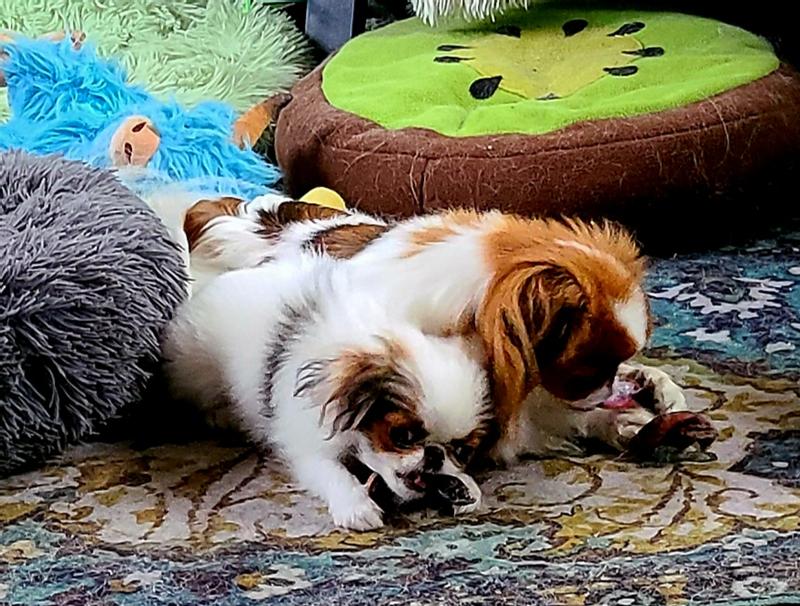 Little girls love Grillerz