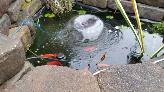 Pond with aeration on.