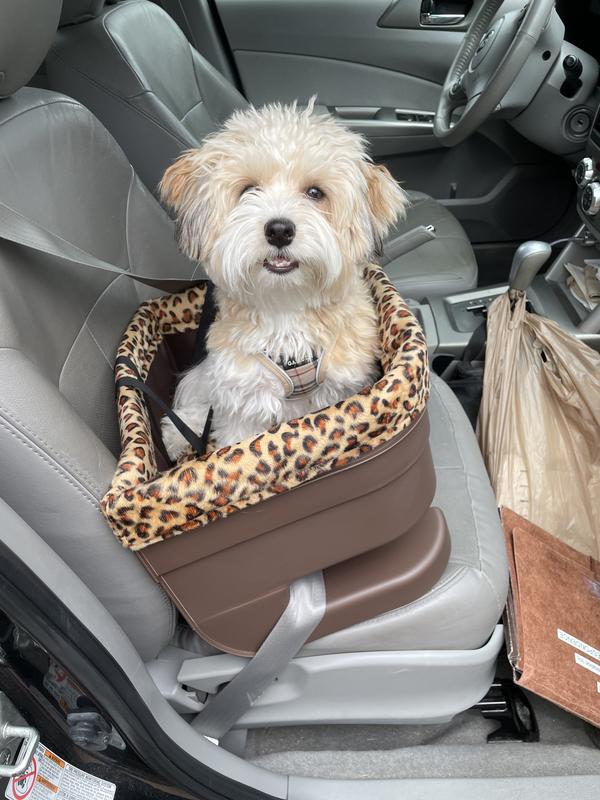 Pet Gear Dog & Cat Bucket Seat Booster