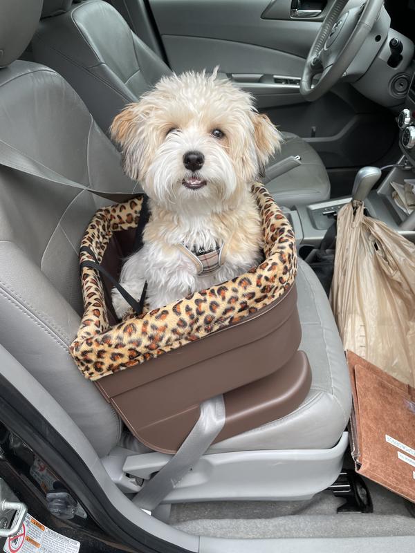 PET GEAR Dog & Cat Bucket Seat Booster, Jaguar, 17-in - Chewy.com