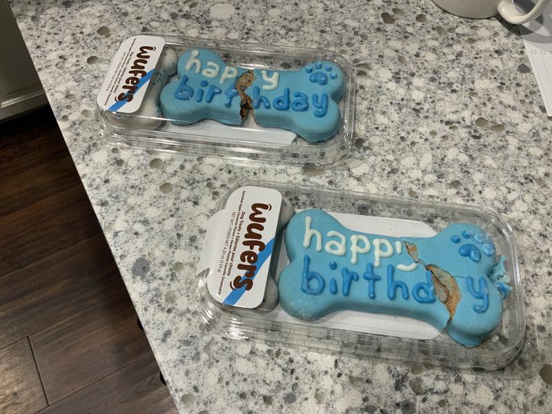 NOT PROTECTED FOR SHIPPING ARRIVED BROKEN!