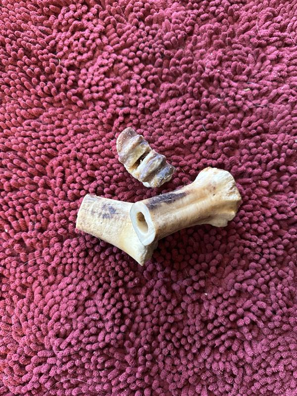 BONES & CHEWS Made in USA Beef Foreshank Bone Dog Treat, 2 count