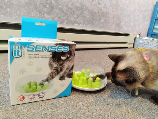 Catit Cat Senses Treat Maze