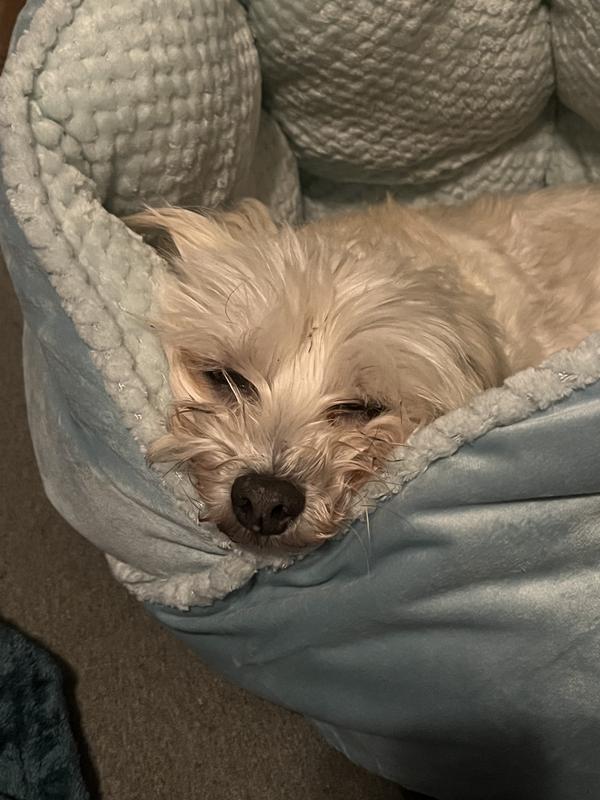 Snoot!