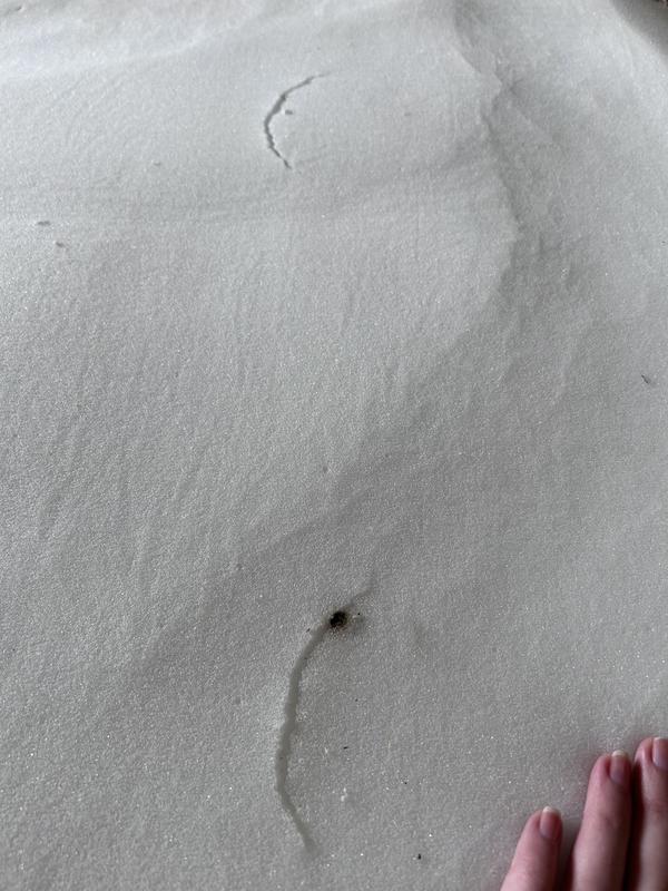 2 areas deep rip with stain