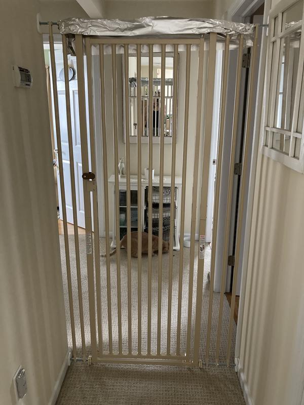 Added tin foil on top to discourage jumping but neither of my cats have tried