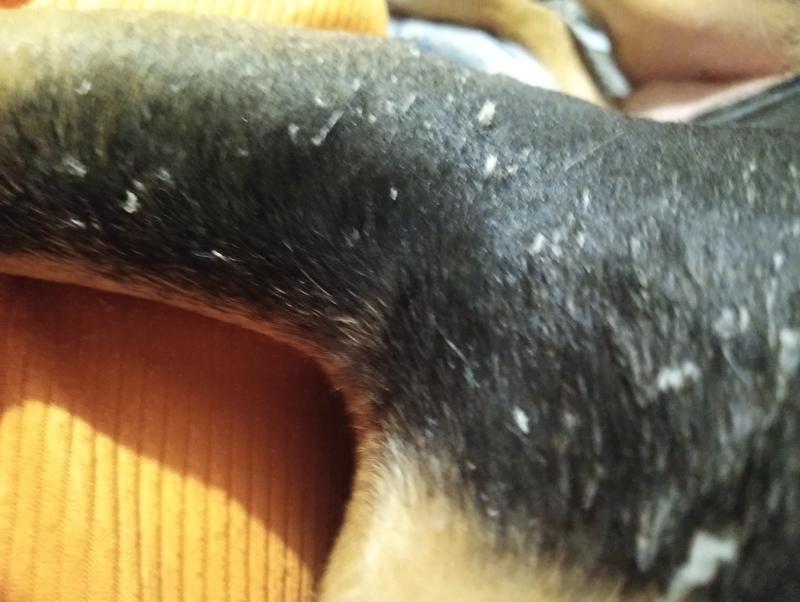 Before using product